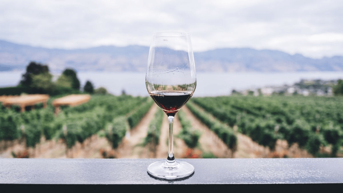 Paisaje vitivinÃcola con copa de vino